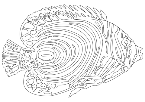 Pomacanthus Imperator Coloring Page